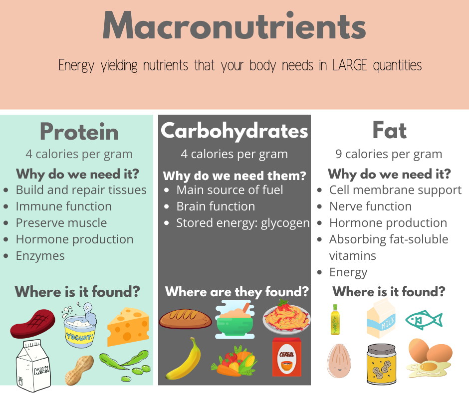 Hva gjør makroer for kroppen din?
